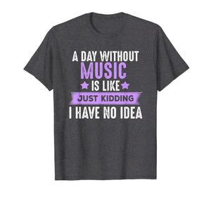 Funny shirts V-neck Tank top Hoodie sweatshirt usa uk au ca gifts for A Day Without Music T-shirt, Gifts For Musicians Music Lover 344877